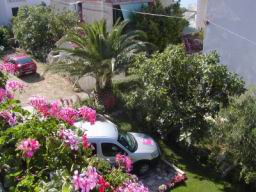 Resize of P1010158.JPG